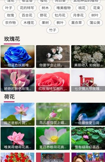 哇图库官方版v2.1.0