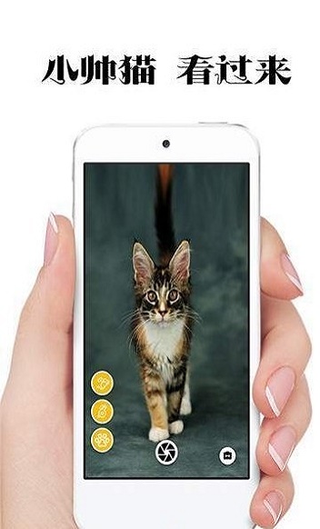 极简猫咪相机最新版v1.0.5