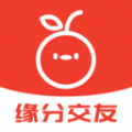 桔缘app