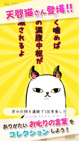 小玉日记(こだま日?)