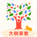 大树家教APP