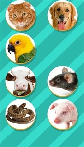 PetTranslator软件v1.1