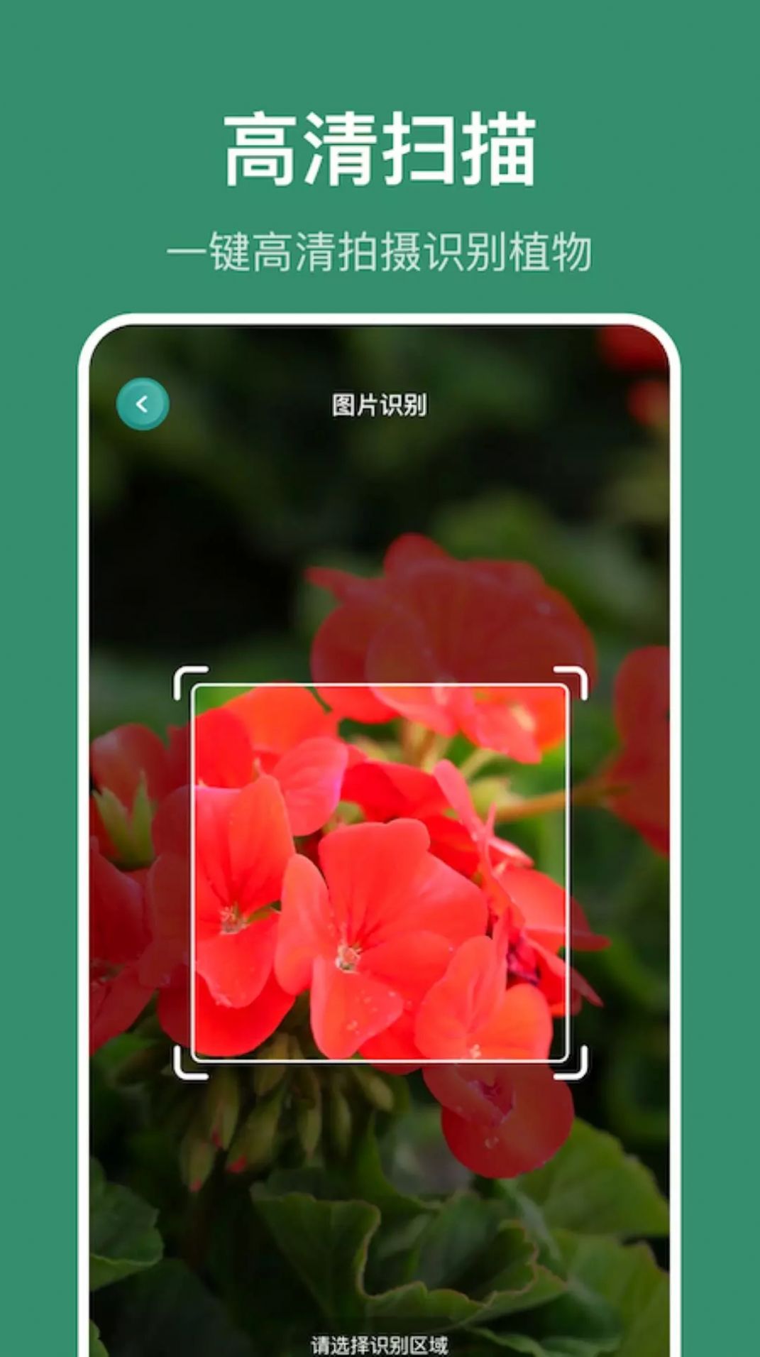 小黄养花官方版v1.1