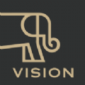 Vision数藏官方版