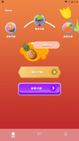 plantae植物识别APPv1.1