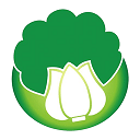 白菜优品官方版