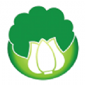 白菜优品app