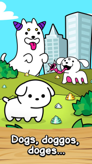 狗的进化