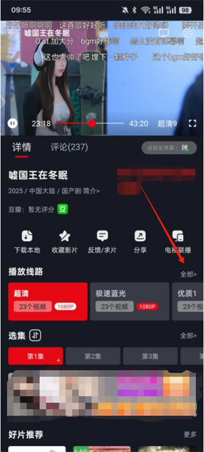 网飞猫纯净版