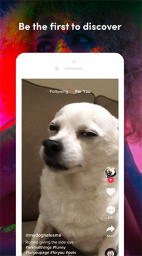 tiktok中文版