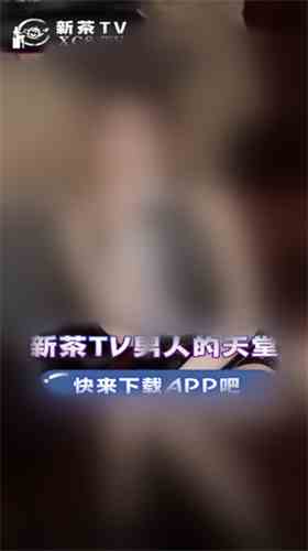 新茶tv