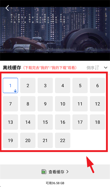 地瓜视频2025