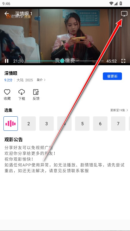 森林视频