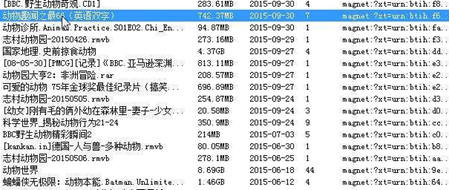 蚂蚁BT