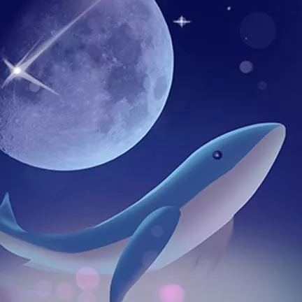 流光之上app