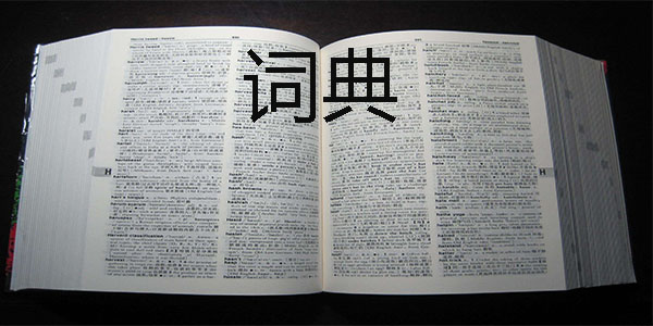 1609568244396266.jpg