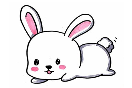 小兔子.jpg