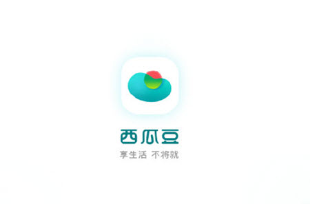 西瓜豆.jpg
