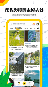 t011537c9dfacc335fc.png